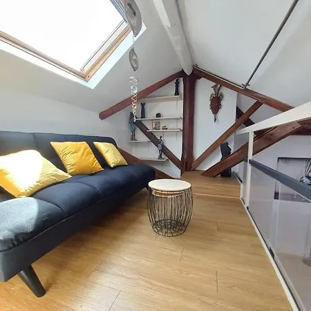 Le Paradis D'epoque - Paris Et Disneyland Appartement *